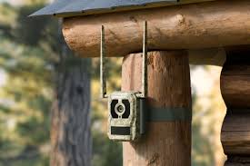 Reolink Talon Pro 4K/8MP – 4G Jahikaamera 360° vaate ja loomade tuvastusega