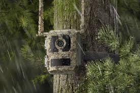 Reolink Talon Pro 4K/8MP – 4G Jahikaamera 360° vaate ja loomade tuvastusega