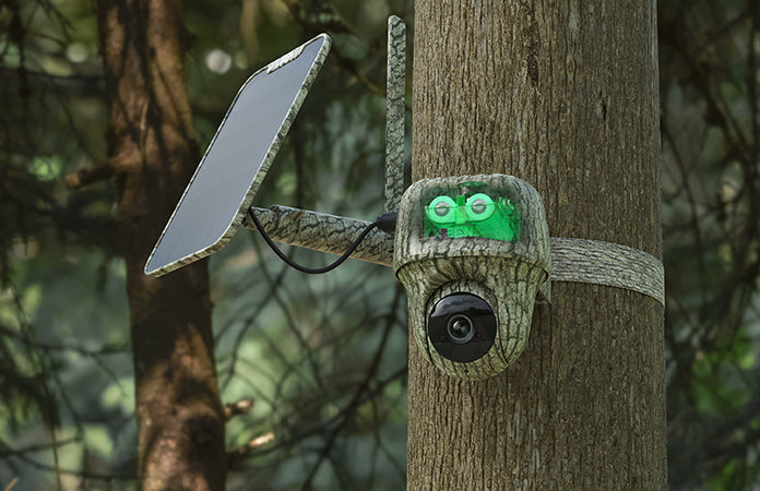 🦌 Reolink Go Ranger PT 4K/8MP – 4G Jahikaamera Ultra HD kvaliteedis + Päikesepaneel