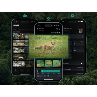 Camovue Talon Pro 4K/8MP – 4G Jahikaamera 360° vaate ja loomade tuvastusega